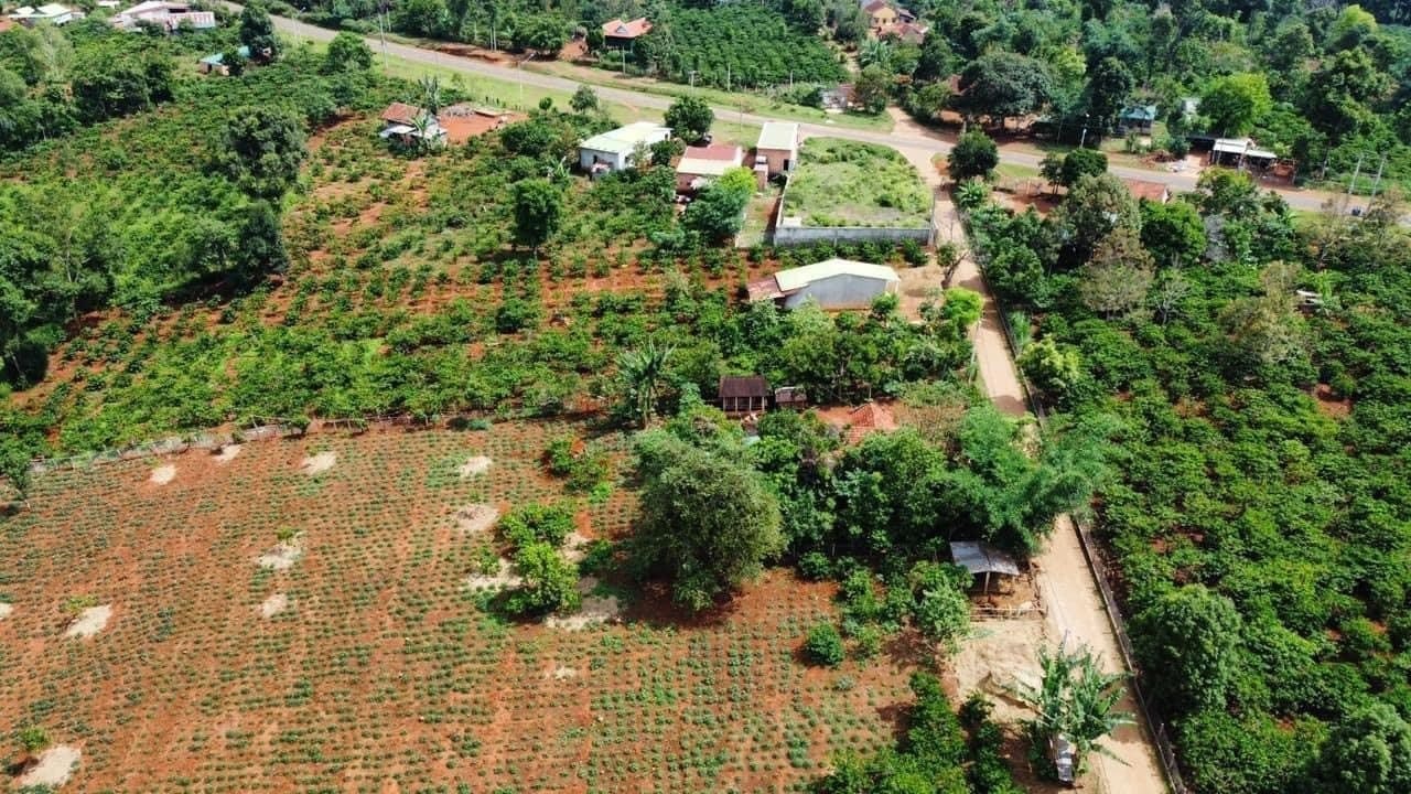 Gia Lai: Chuyển biến tích cực trong quản lý đất đai